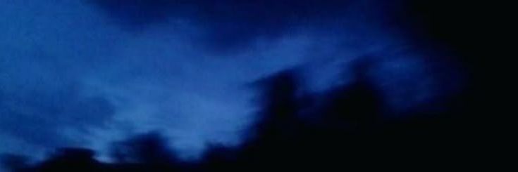 lavender's banner
