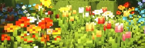cata 🌱's banner