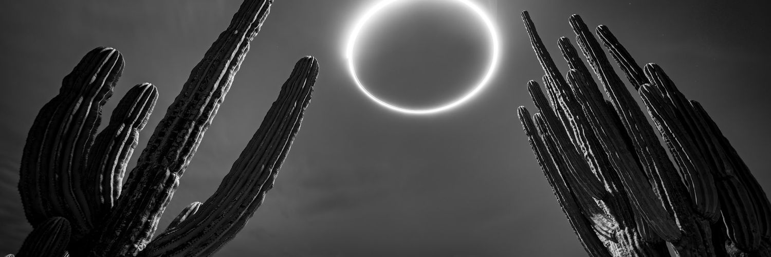 homogalactica's banner