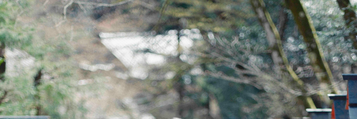 映画『リバー、流れないでよ』Blu-ray発売&配信中！'s banner