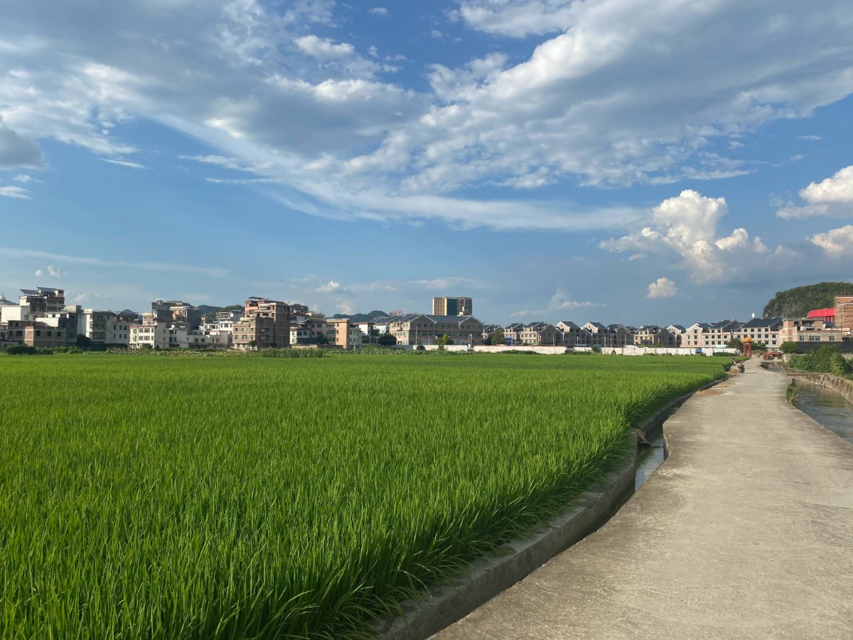 雲朵好甜🇨🇳🇭🇰's banner
