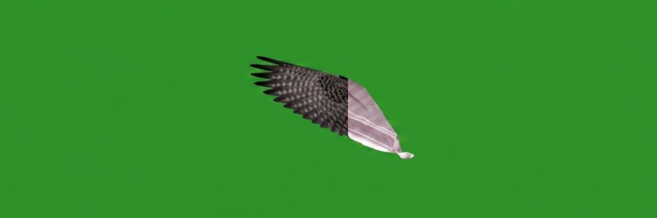 فهد بن رميزان الشمري's banner