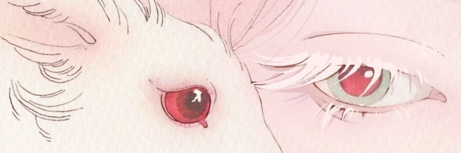 ˚₊ nini ꕤ｡˚⋆ ‧'s banner