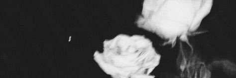 😸💐's banner