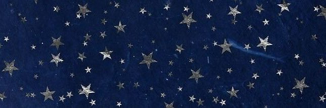 ava! 🌟's banner