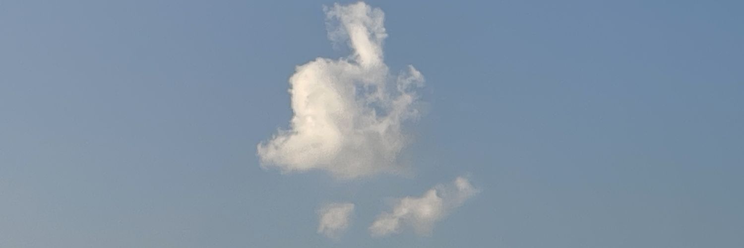 화's banner