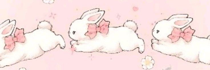 ᑲᥙᥒᥒі! 🐇🌸 ◍˃ᵕ˂◍'s banner