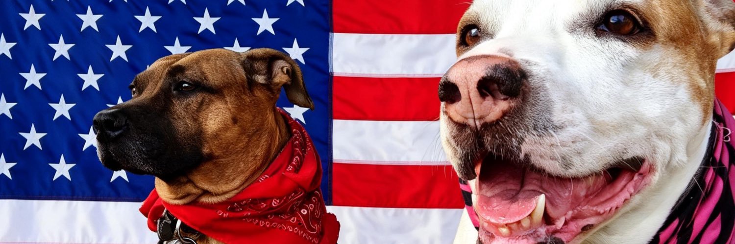 Suzanne 🇺🇸♥️'s banner