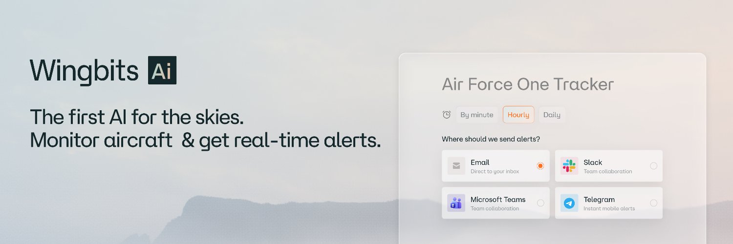 wingbits's banner