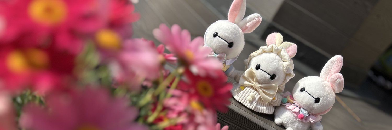 面's banner