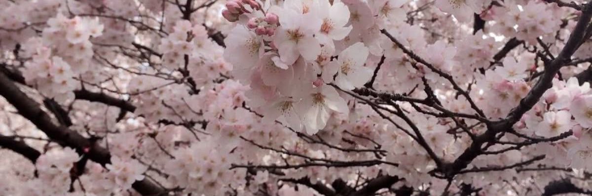 mar | edtwt's banner