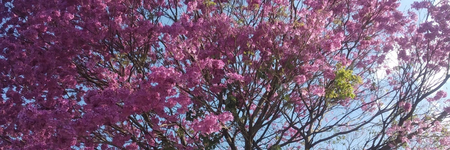 ジャスミン 💜🌸's banner