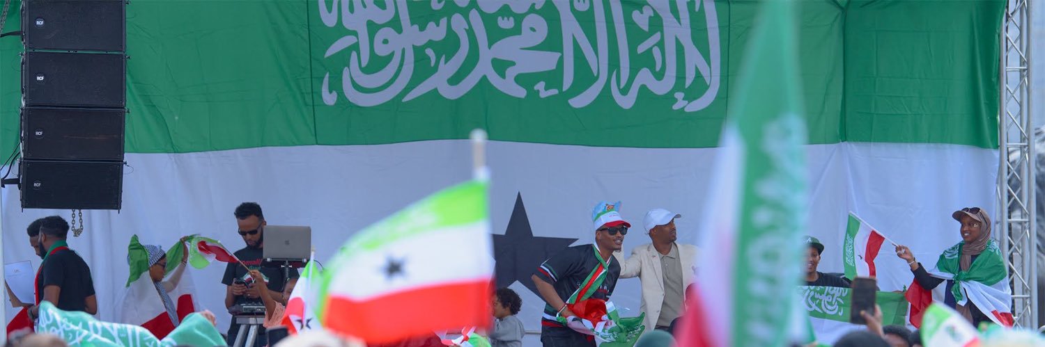 UK Somaliland Alliance's banner