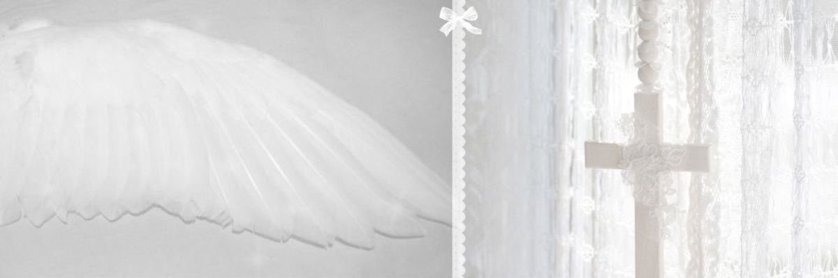cassie 𓆩♡𓆪 ❥⋆ ˚｡⋆୨🪽୧˚'s banner