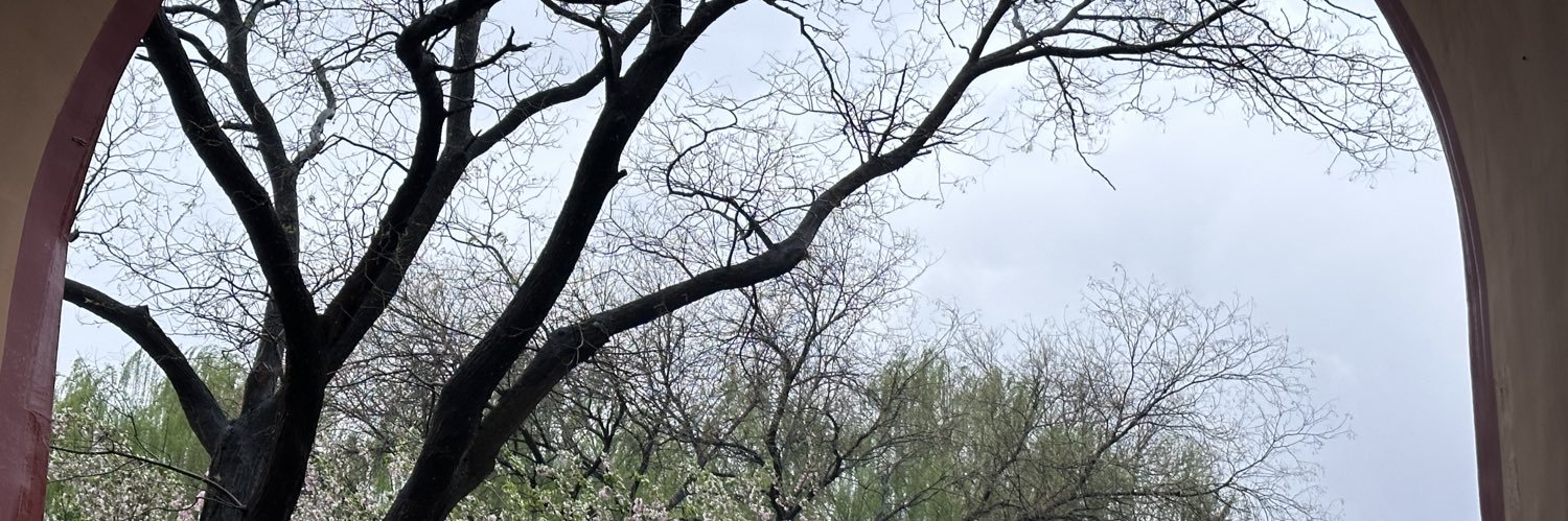 诗S's banner