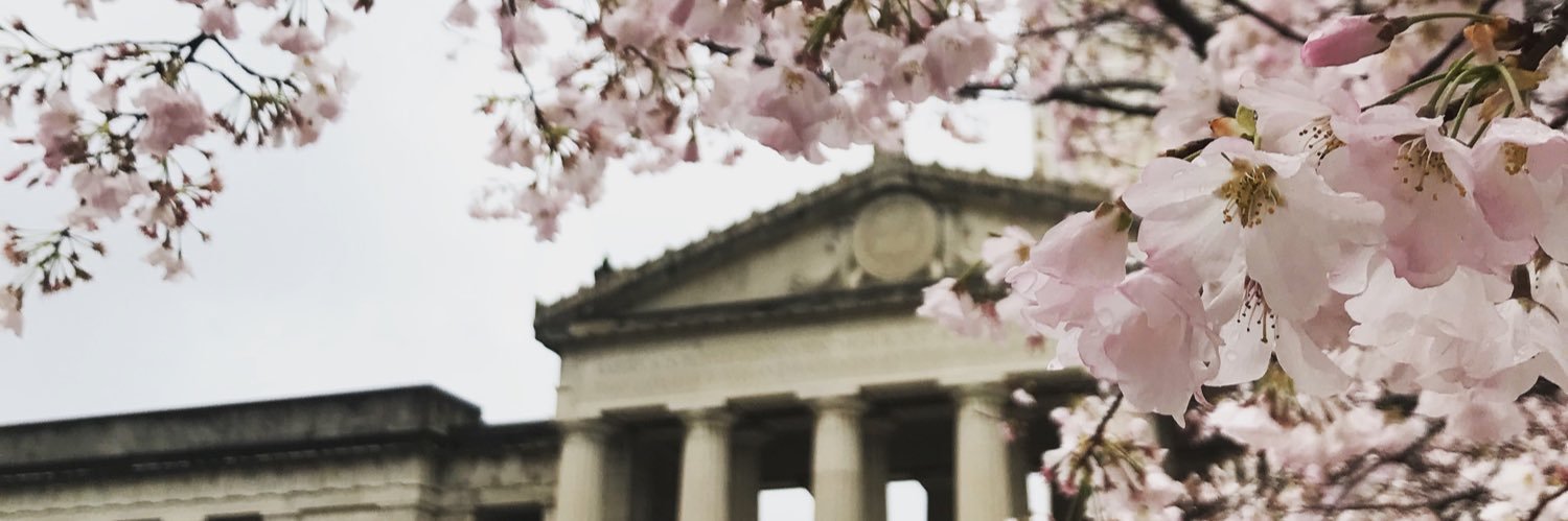 Vivian Jones's banner