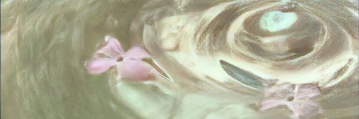 주주 ˙ᵕ˙⋆.˚☾'s banner