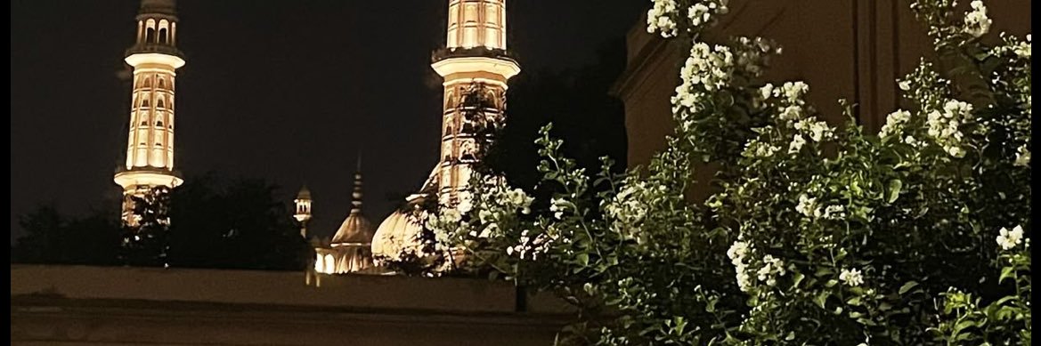 noor's banner
