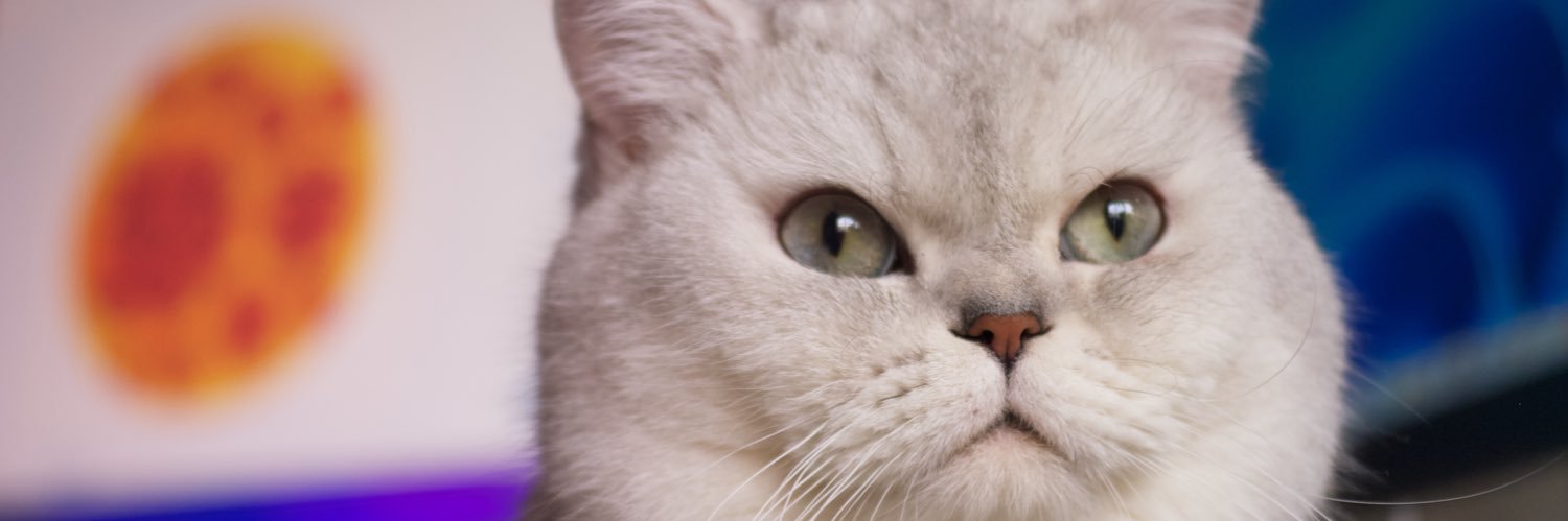 CatsJuice's banner