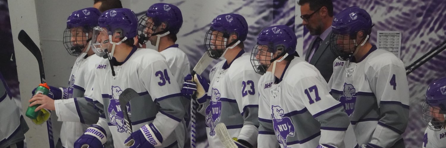 Niagara University Men's Hockey's banner