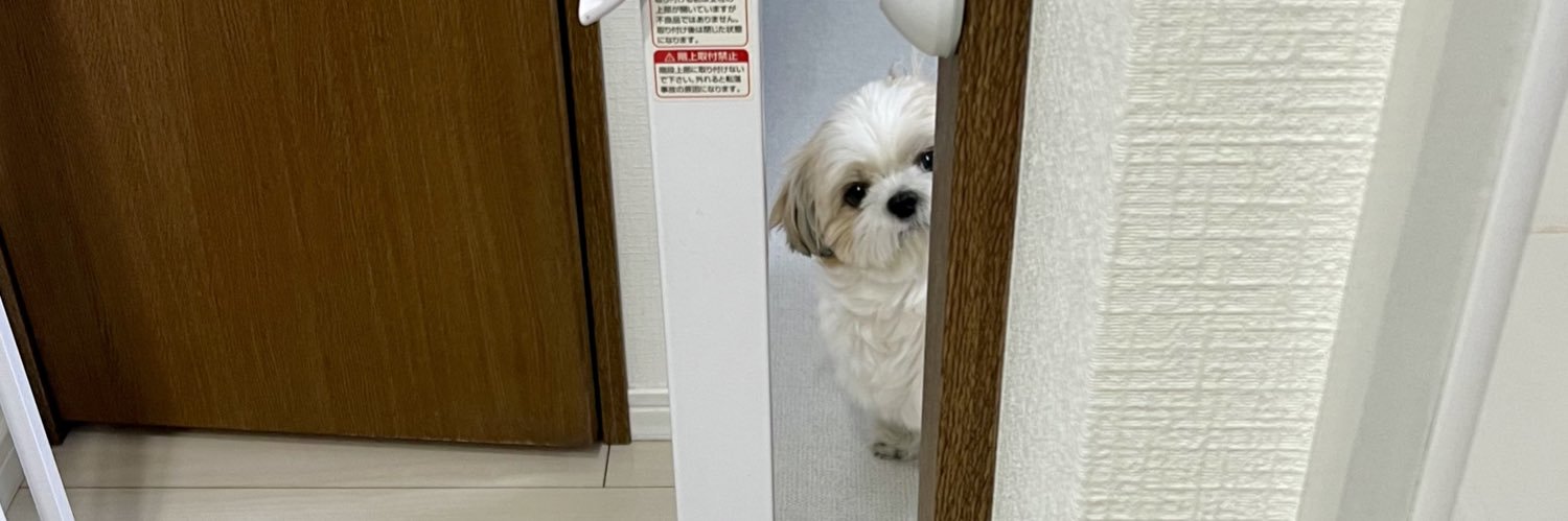 優しい犬と暮らしてる's banner