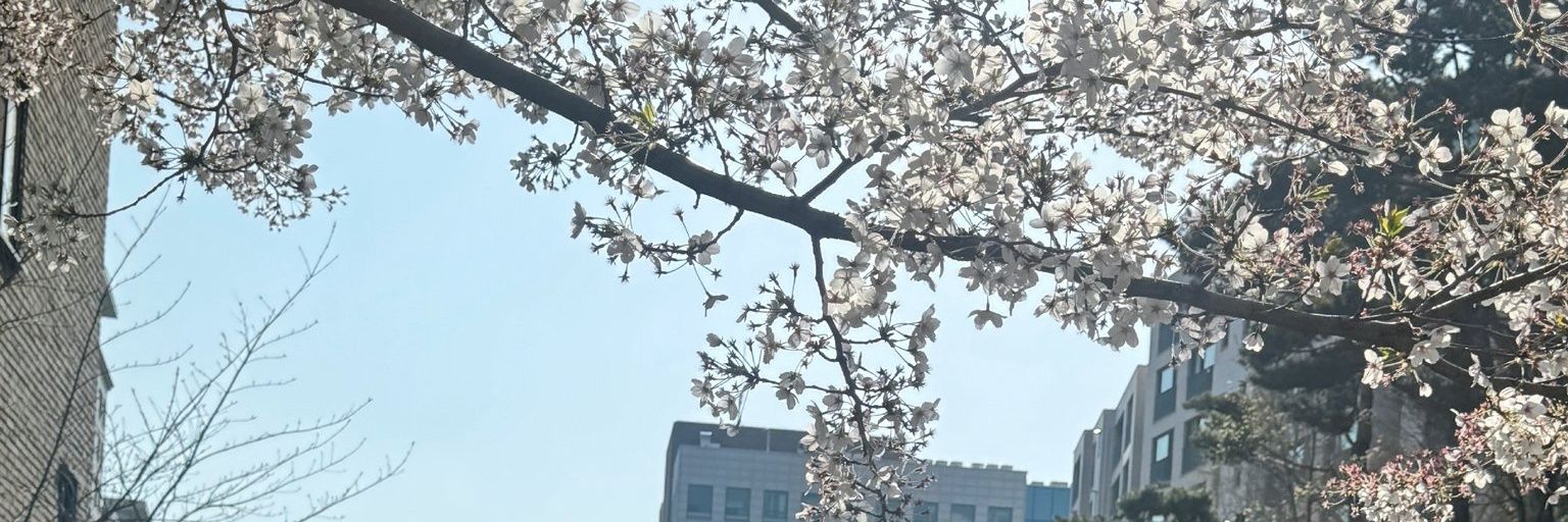 veera 🪽's banner