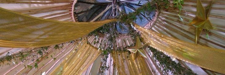 Cindy's banner