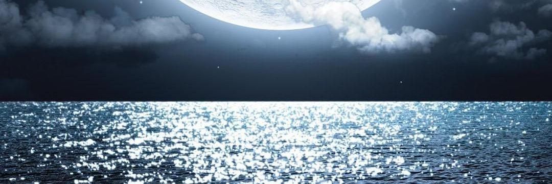 J9's banner