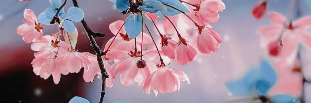 凌波微步's banner