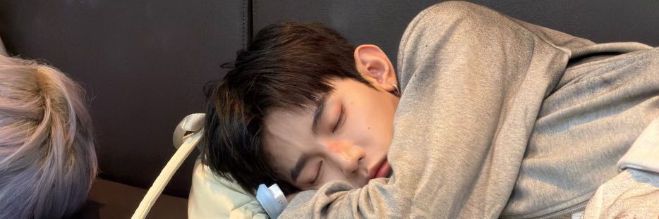 nicᵕ̈'s banner