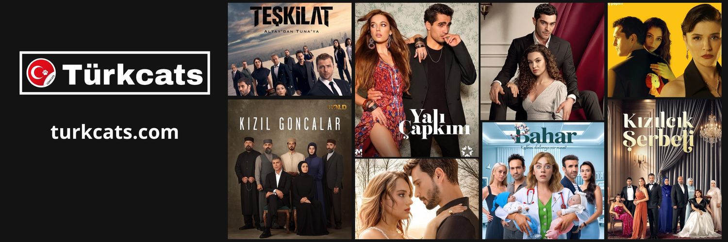 Türkcats's banner