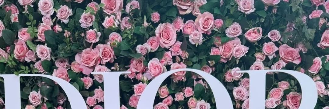 沙弥@婚活's banner