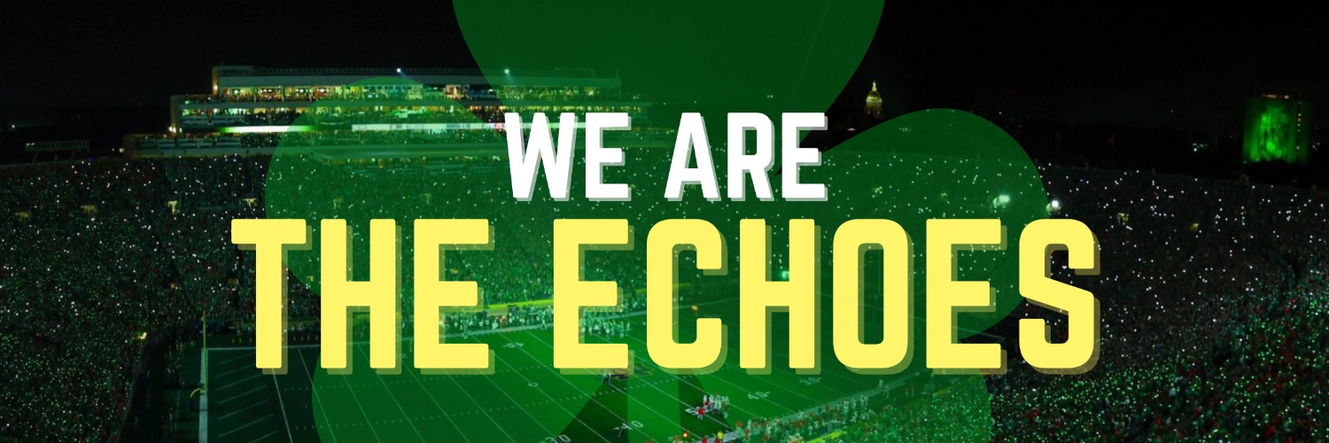 We Are The Echoes's banner