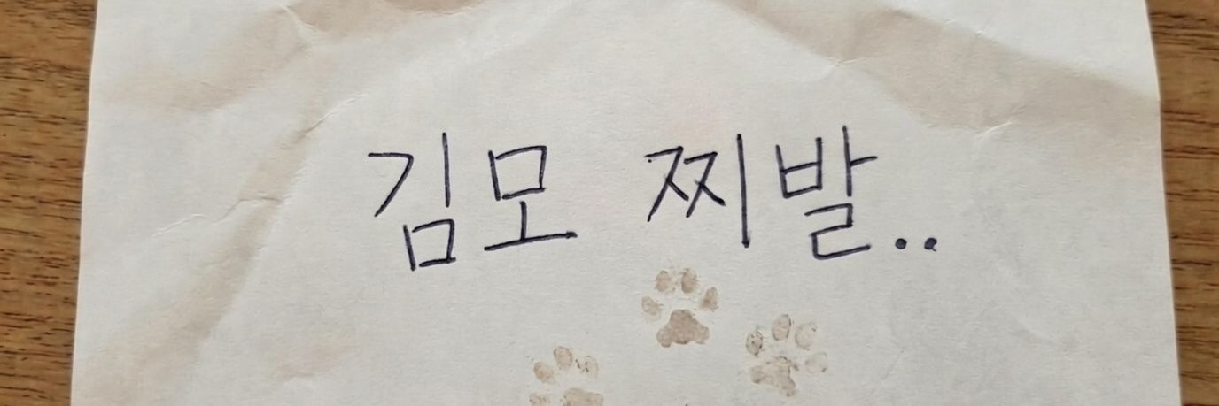 김모찌's banner