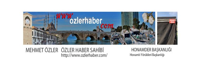 Mehmet ÖZLER's banner