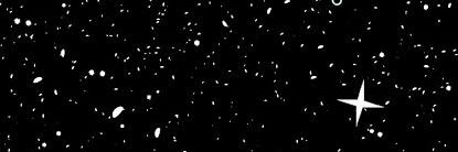 🌸's banner