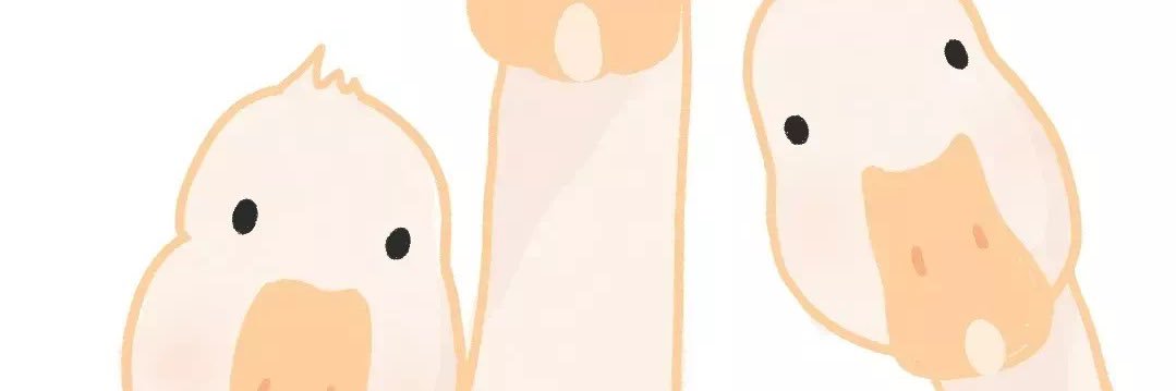 宋情书💖🎃's banner