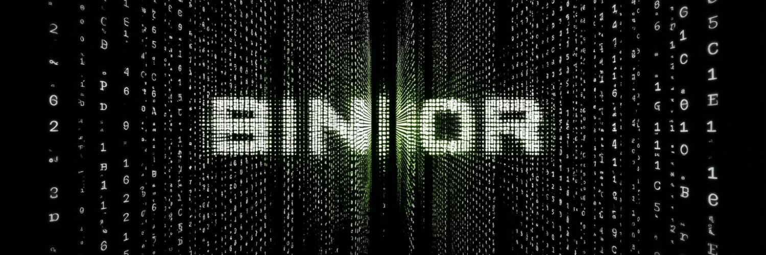 Binor's banner