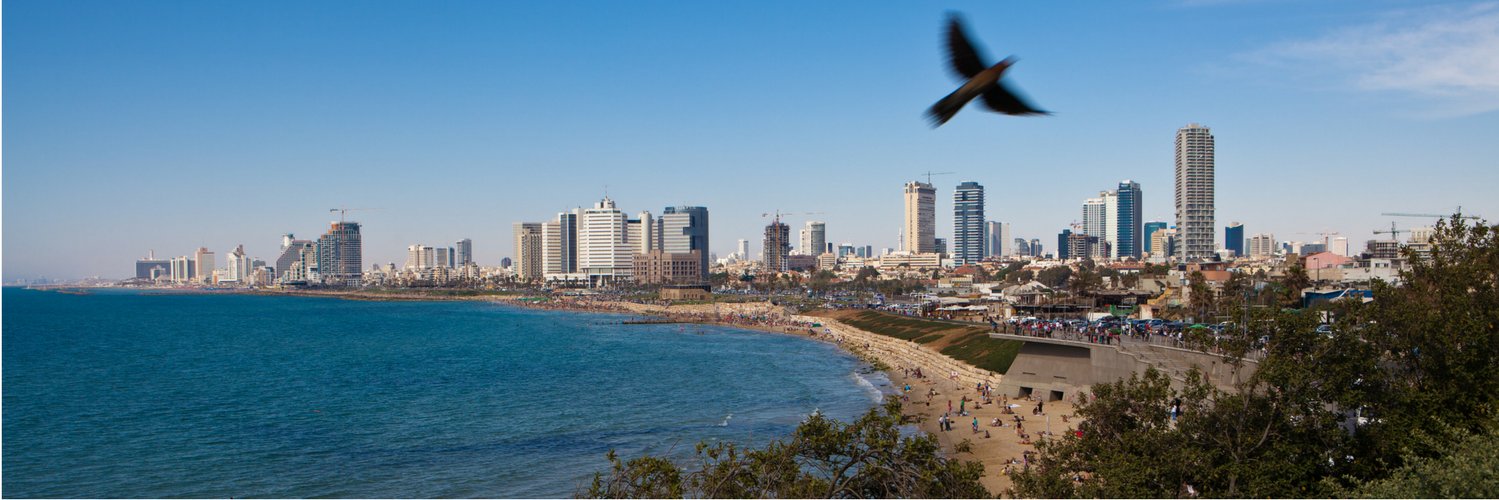 Israel no Brasil's banner