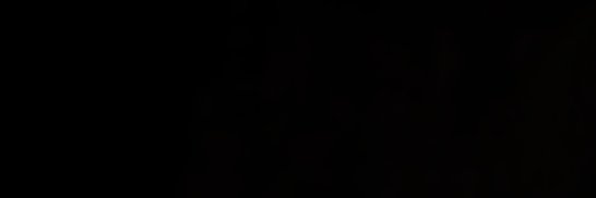 CFSStudios's banner