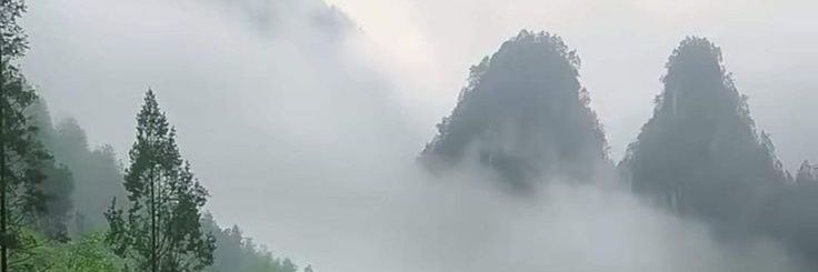 فاطمة بن رمضان 🤍🇹🇳🤍🇩🇿⁦⁦'s banner