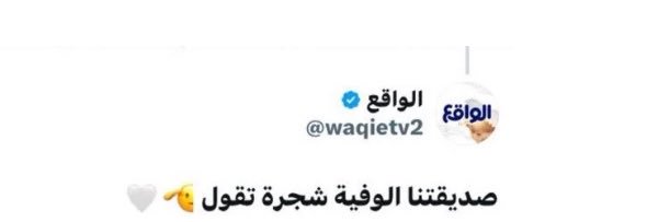 شجرة تقول's banner