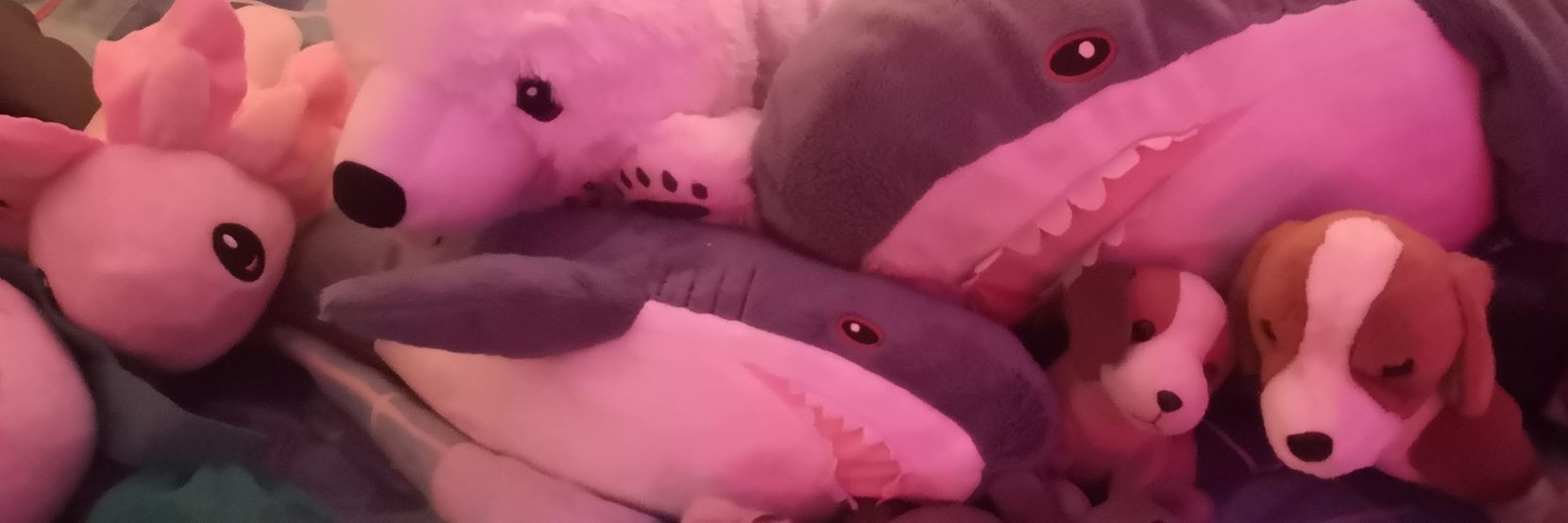 comfytai♥️🖤 (useless)'s banner