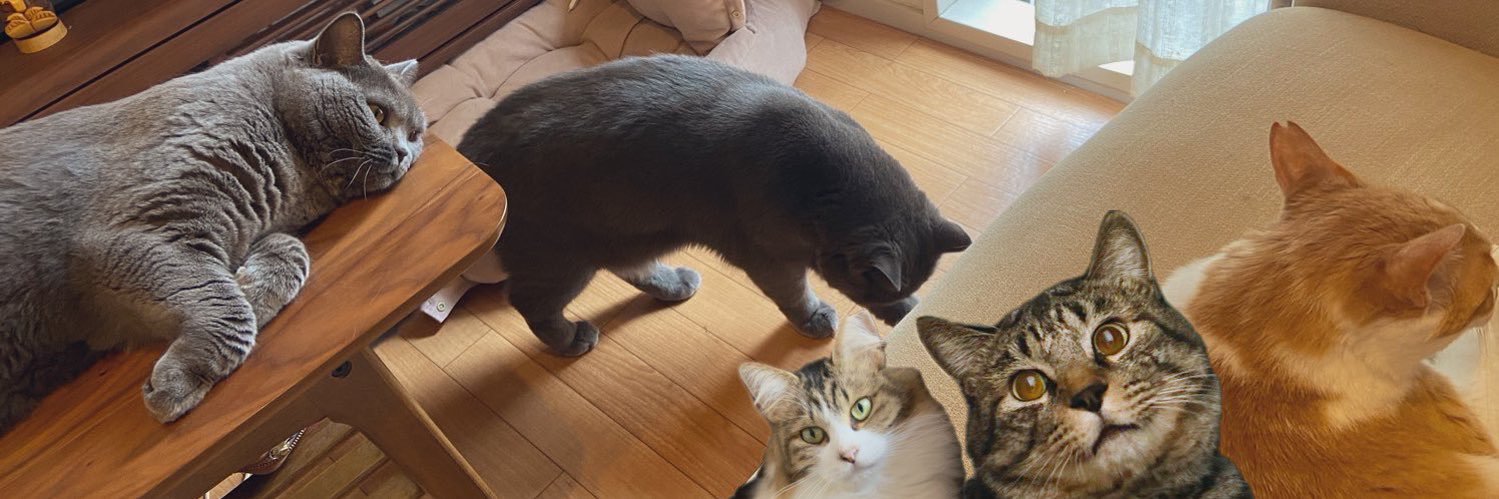 かもぴ's banner