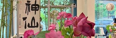 TS顾恩婷's banner