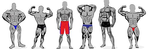 Muscle Potential's banner