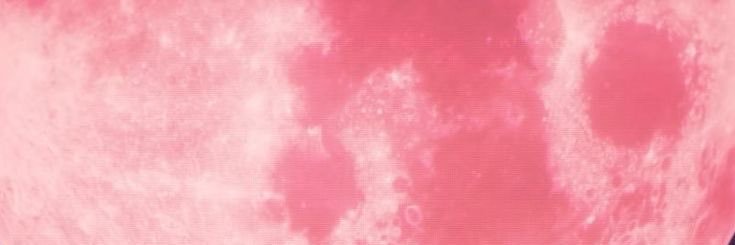 ana's banner