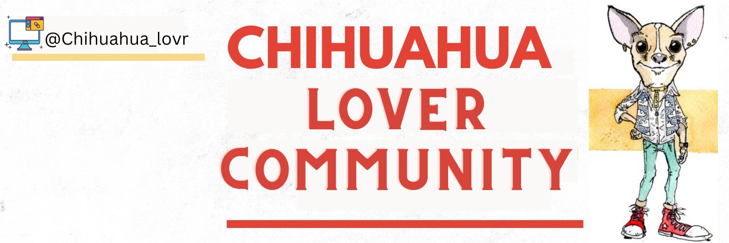 Chihuahua Lover Community's banner