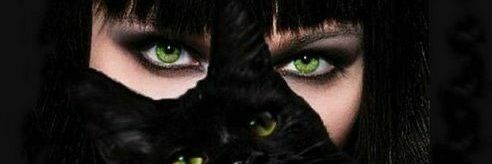 ⋆🎀قطـــوه شرســـهه🎀⋆💉's banner