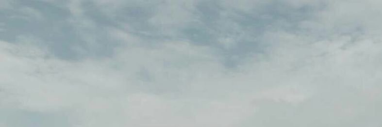 NARIN's banner